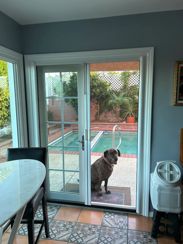 Pet Proof Retractable Screen Doors in San Diego for Active Homes