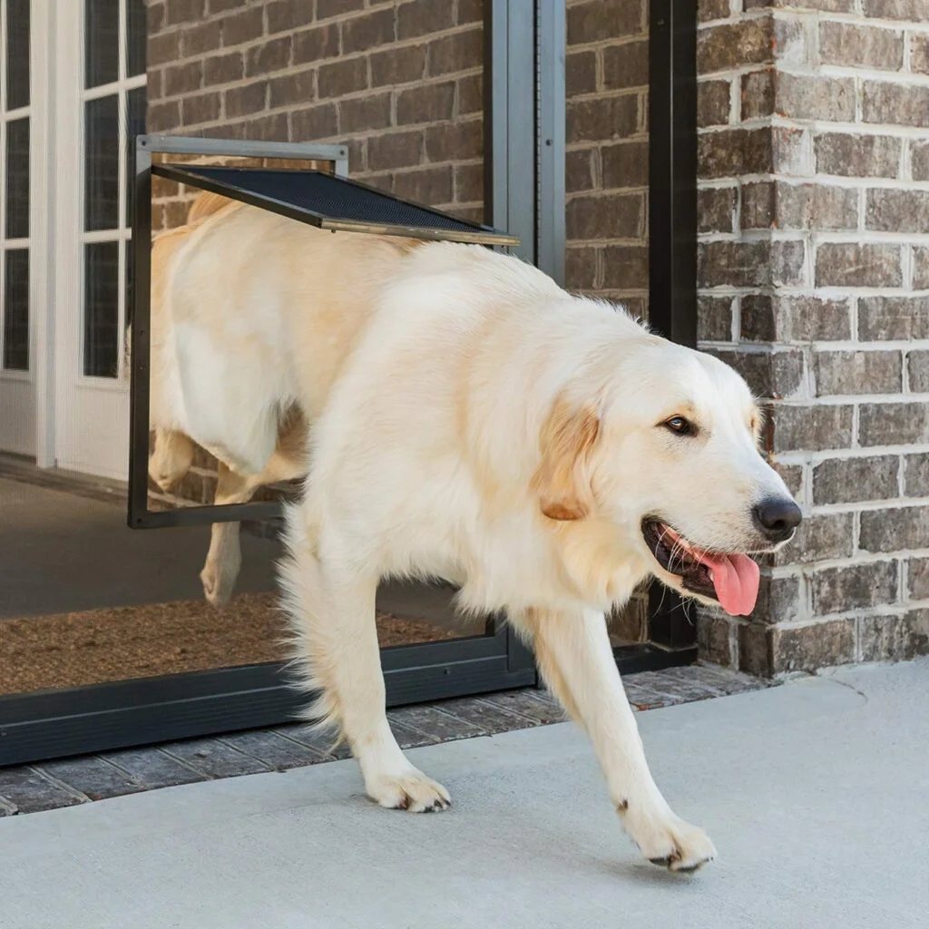 Pet Screen Repair in Oceanside: Simple Upgrades That Make a Big Difference