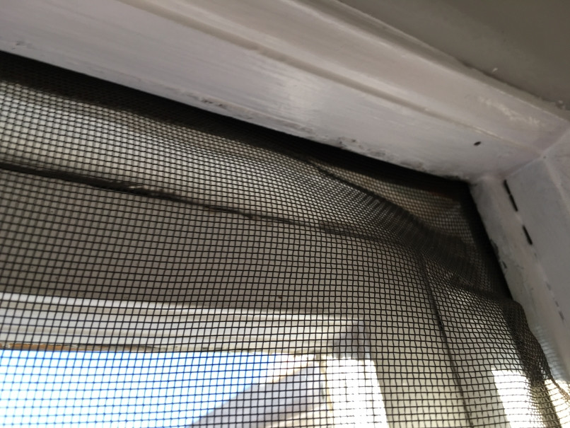 How Window Screen Repair in El Cajon Helps Reduce Dust and Improve Airflow