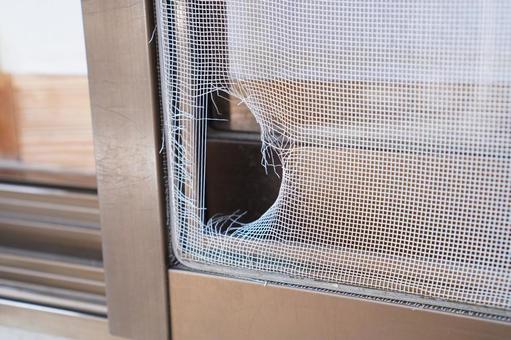 Why Window Screen Repair in San Marcos Shouldn’t Be Delayed