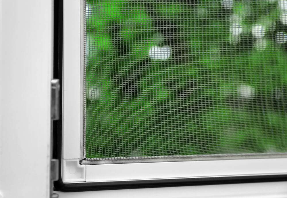 Professional Home Window Screen Repair in Scripps Ranch