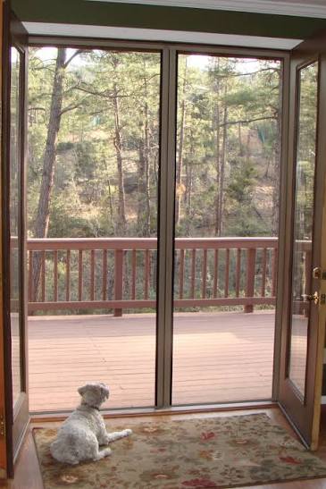 Protect Your Home with Pet-Proof Retractable Screen Doors in San Diego Country Estates
