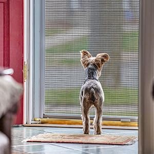 Pet Screen Repair in Santee for Stronger, Pet-Friendly Screens