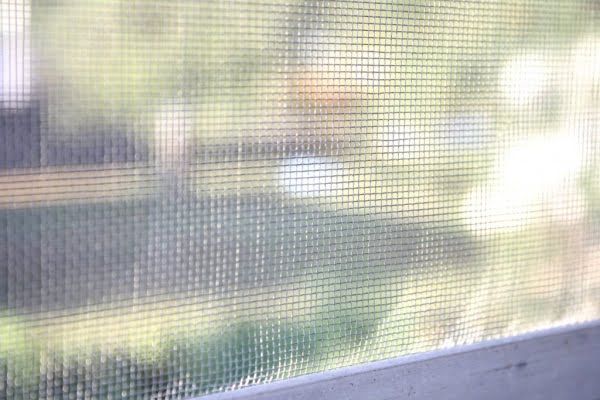 When Window Screen Repair in Chula Vista Makes Sense