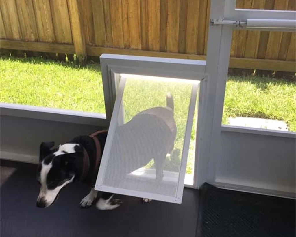 Pet Screen Repair in Vista for a More Durable Home